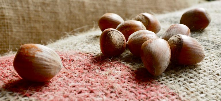 Le nostre nocciole e l’etichettatura della crema!! Le nostre nocciole e l’etichettatura della crema!!