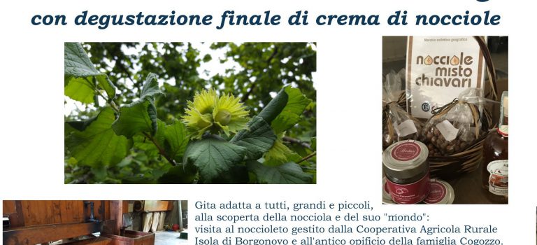 Evento: Nocciolando a… Mezzanego!! Evento: Nocciolando a… Mezzanego!!